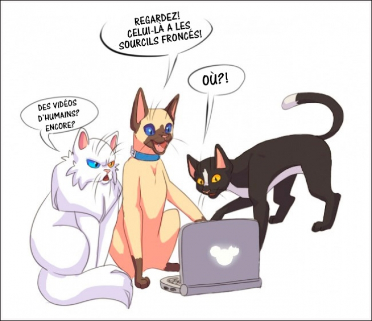 Illustration de l'article : 15 illustrations qui inversent les r&ocirc;les pour nous sensibiliser sur l'approche qu'on a envers les animaux...