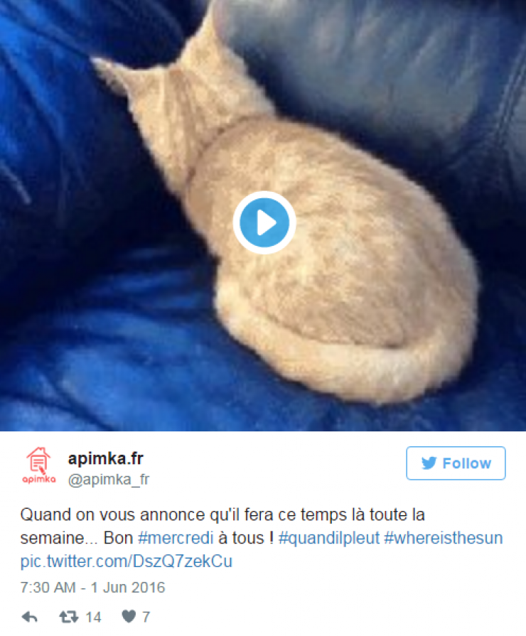 Illustration de l'article : Top 22 des tweets les plus hilarants concernant cette m&eacute;t&eacute;o de merde... Mieux vaut en rire !