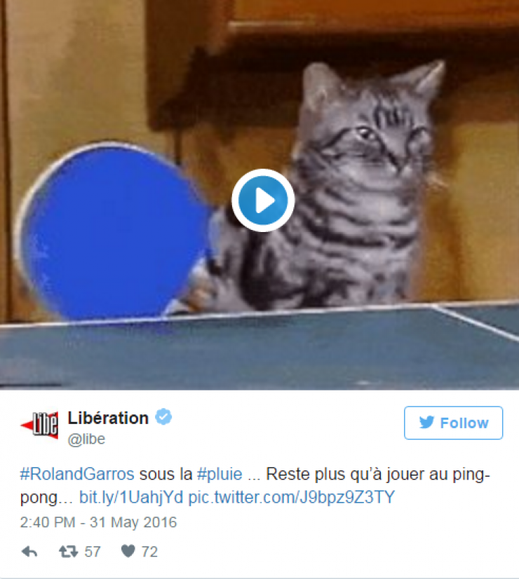 Illustration de l'article : Top 22 des tweets les plus hilarants concernant cette m&eacute;t&eacute;o de merde... Mieux vaut en rire !