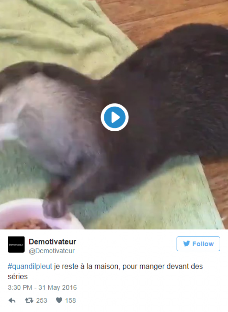 Illustration de l'article : Top 22 des tweets les plus hilarants concernant cette m&eacute;t&eacute;o de merde... Mieux vaut en rire !