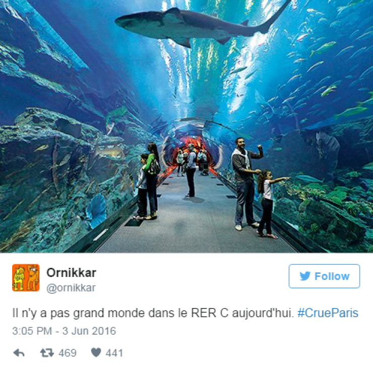 Illustration de l'article : 24 tweets hilarants concernant la crue de la Seine...