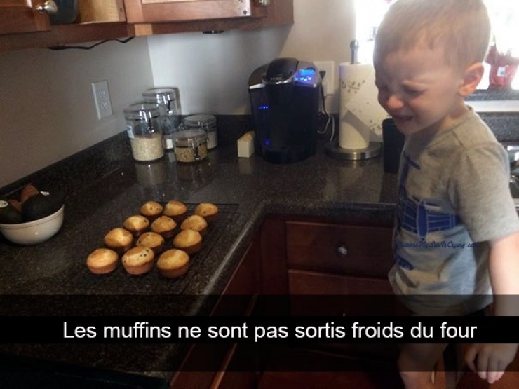 Illustration de l'article : Ces 32 bébés pleurent pour des futilités et visiblement, les parents aiment bien les ridiculiser !