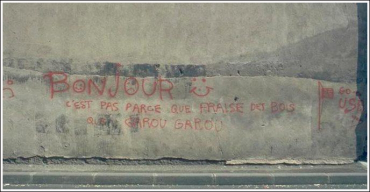 Illustration de l'article : GRAFFITIVRE, le compte qui regroupe les pires graffitis trouvés sur des murs... (25 images)