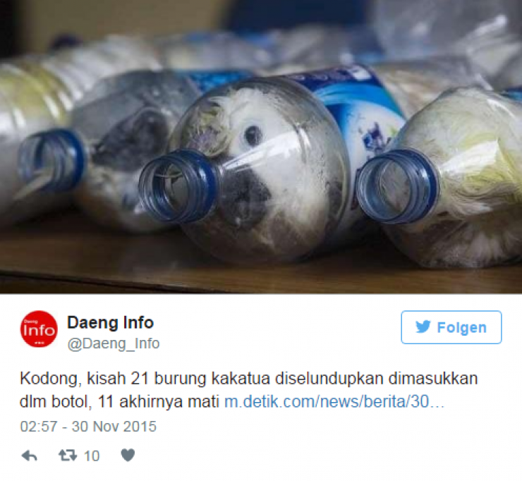 Illustration de l'article : Des douaniers s'interrogent en entendant du bruit venant de ces bouteilles... En y apercevant des yeux, ils se dépêchent de prendre des ciseaux !