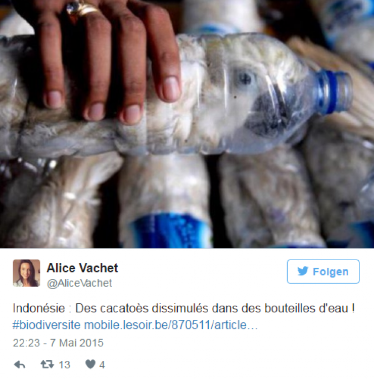 Illustration de l'article : Des douaniers s'interrogent en entendant du bruit venant de ces bouteilles... En y apercevant des yeux, ils se dépêchent de prendre des ciseaux !