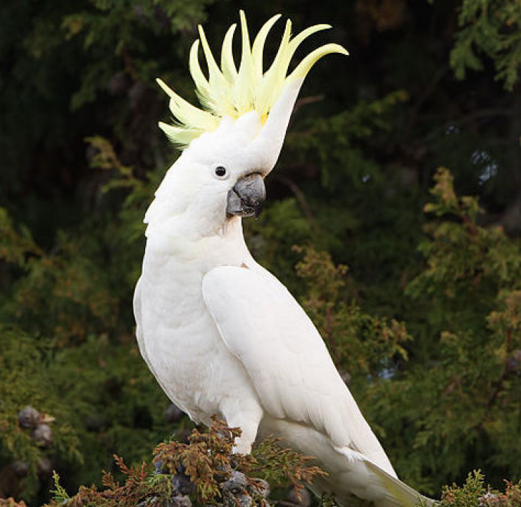 Illustration de l'article : Des douaniers s'interrogent en entendant du bruit venant de ces bouteilles... En y apercevant des yeux, ils se dépêchent de prendre des ciseaux !