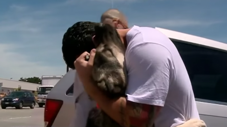 Illustration de l'article : Ce soldat ne peut se résoudre à laisser son chien derrière lui... Il prend alors une décision qui va tout changer !