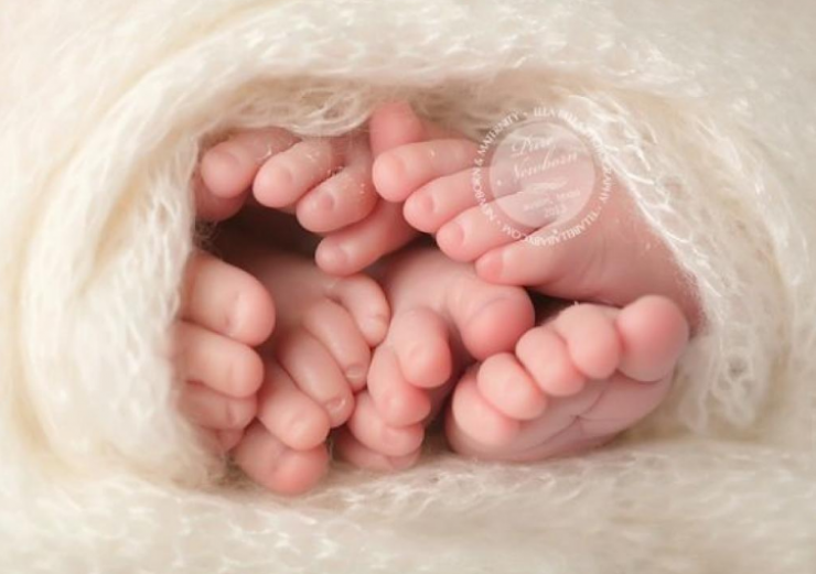 Illustration de l'article : Vous attendez des tripl&eacute;s ? Ces adorables clich&eacute;s vous donneront des id&eacute;es de photos &agrave; faire !