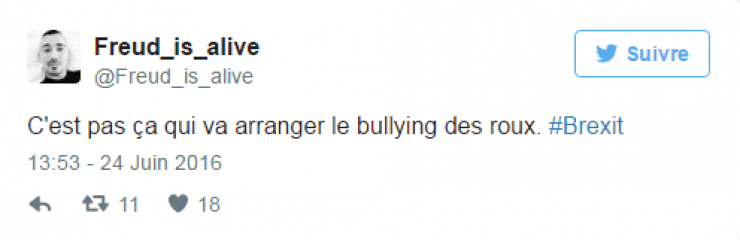 Illustration de l'article : Le hashtag #Brexit fait des ravages sur Twitter ! Voici les 35 tweets &agrave; ne pas manquer...