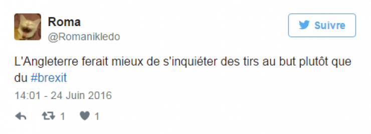 Illustration de l'article : Le hashtag #Brexit fait des ravages sur Twitter ! Voici les 35 tweets &agrave; ne pas manquer...
