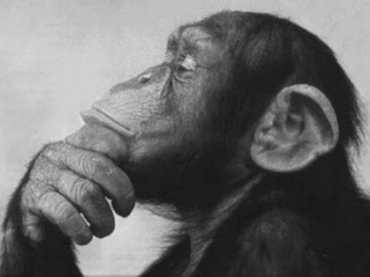 Illustration de l'article : Ces 21 choses compl&egrave;tement irrationnelles que tout le monde a d&eacute;j&agrave; fait... Plusieurs fois ! 