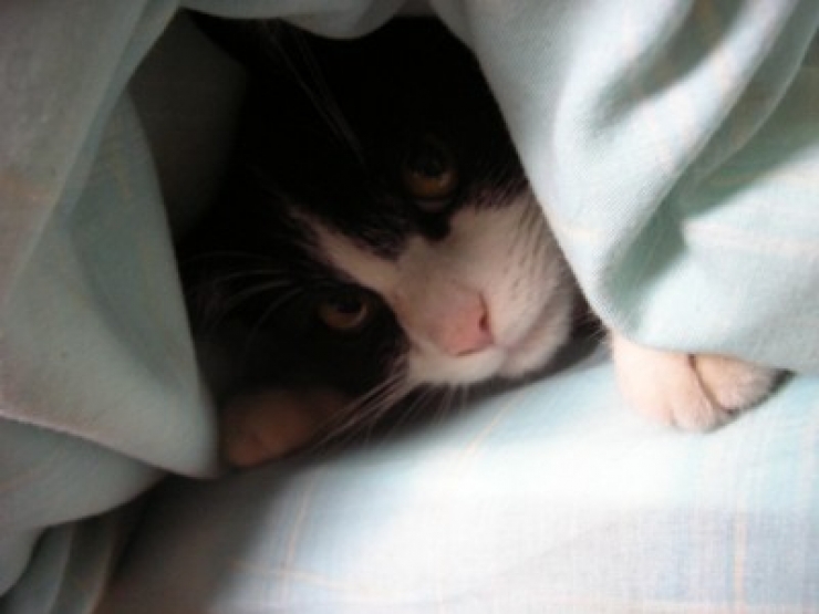 Illustration de l'article : Ces 21 choses compl&egrave;tement irrationnelles que tout le monde a d&eacute;j&agrave; fait... Plusieurs fois ! 