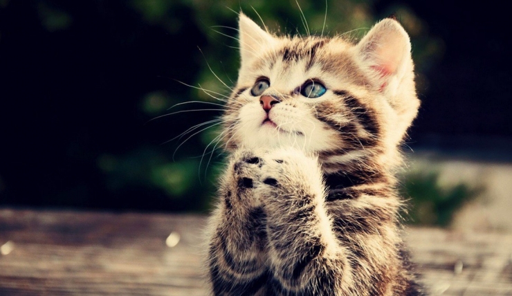 Illustration de l'article : Ces 21 choses compl&egrave;tement irrationnelles que tout le monde a d&eacute;j&agrave; fait... Plusieurs fois ! 