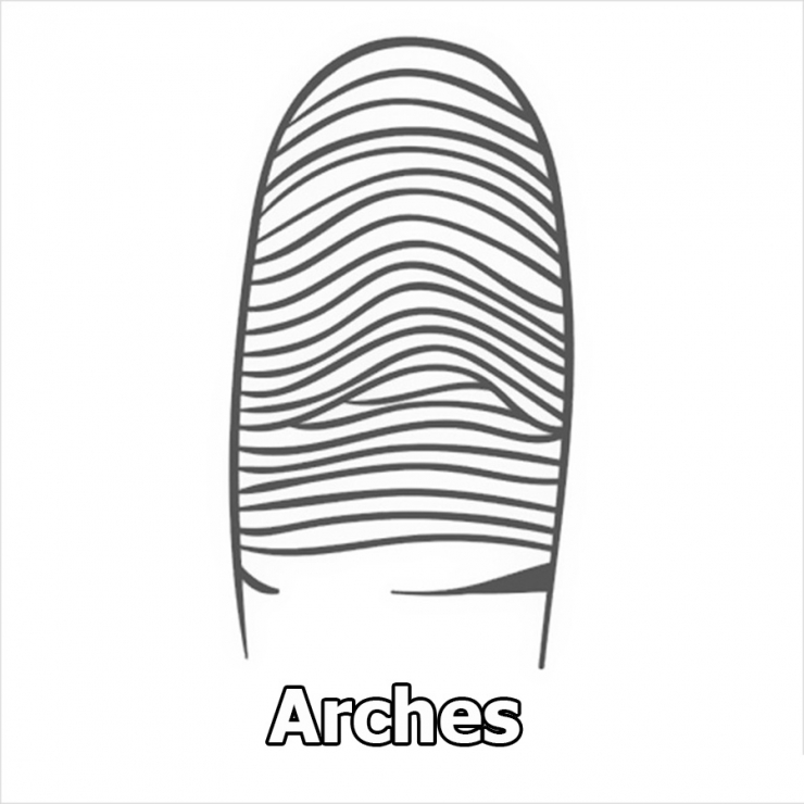 Illustration de l'article : Vos empreintes digitales peuvent en dire beaucoup sur votre caract&egrave;re&hellip; Ce qu&rsquo;il faut savoir: 