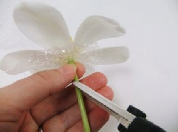 Illustration de l'article : Juste en coupant un peu de papier bulle, elle nous présente une astuce brillante !