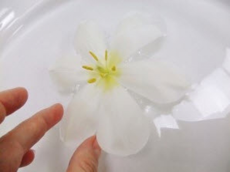 Illustration de l'article : Juste en coupant un peu de papier bulle, elle nous présente une astuce brillante !