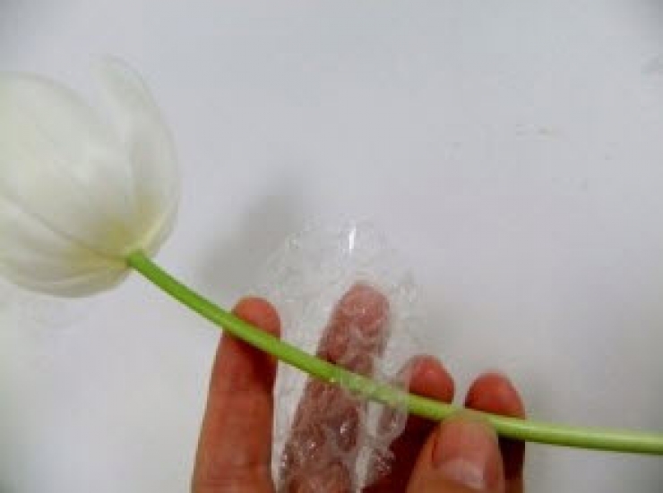 Illustration de l'article : Juste en coupant un peu de papier bulle, elle nous présente une astuce brillante !
