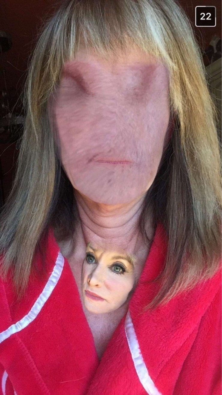 Illustration de l'article : 21 personnes qui n'auraient jamais dû télécharger l'application Face Swap...