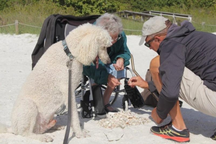 Illustration de l'article : &laquo; J&rsquo;ai dit NON &agrave; la chimioth&eacute;rapie &raquo; L&rsquo;histoire &eacute;mouvante d&rsquo;une vieille dame qui veut vivre pleinement...