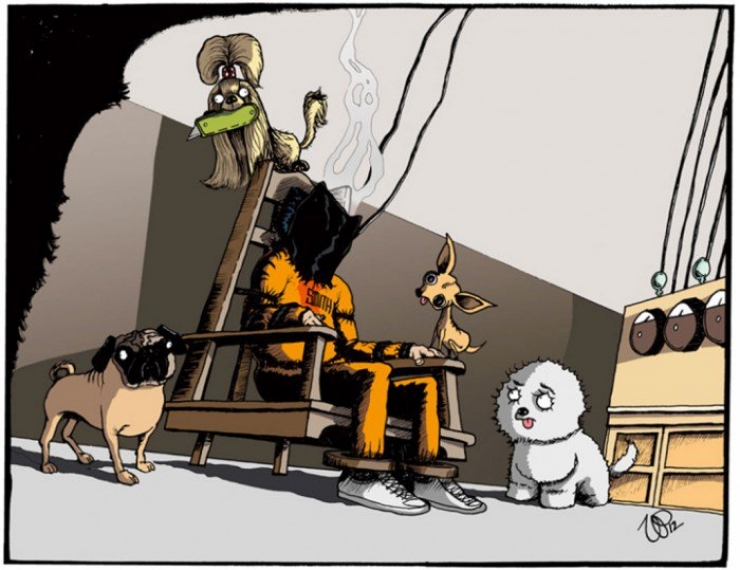 Illustration de l'article : Cruaut&eacute; envers les animaux: Et si on inversait les r&ocirc;les pour une fois ? 21 illustrations !