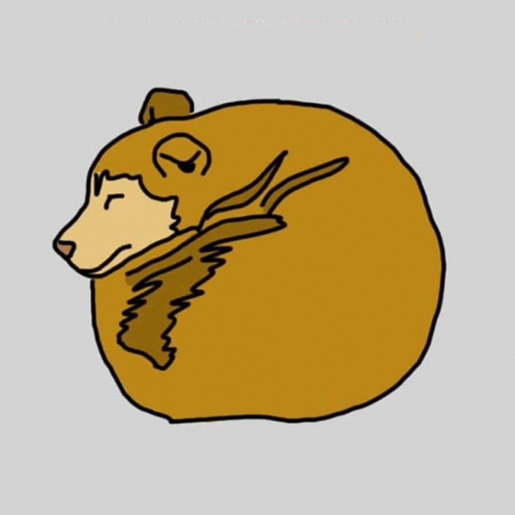 Illustration de l'article : La position dans laquelle votre chien dort en dit beaucoup sur lui ! Ce qu’il faut savoir: