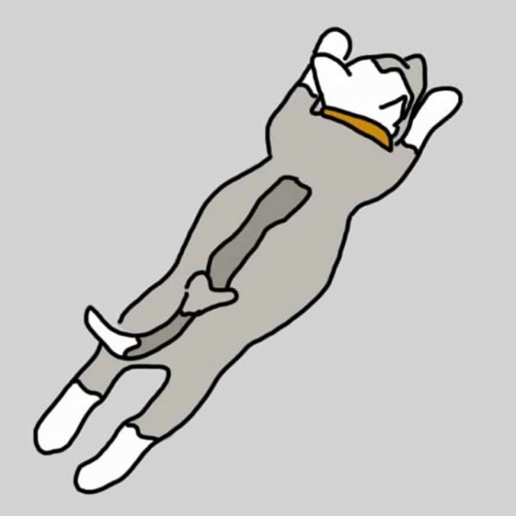 Illustration de l'article : La position dans laquelle votre chien dort en dit beaucoup sur lui ! Ce qu’il faut savoir: