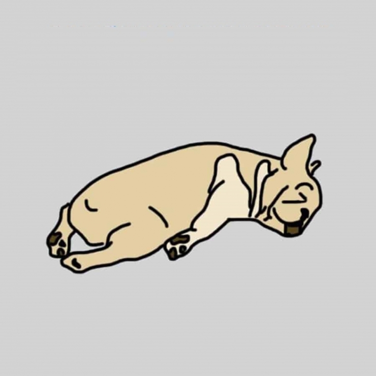 Illustration de l'article : La position dans laquelle votre chien dort en dit beaucoup sur lui ! Ce qu’il faut savoir: