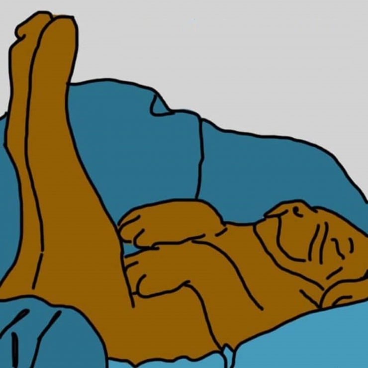 Illustration de l'article : La position dans laquelle votre chien dort en dit beaucoup sur lui ! Ce qu’il faut savoir: