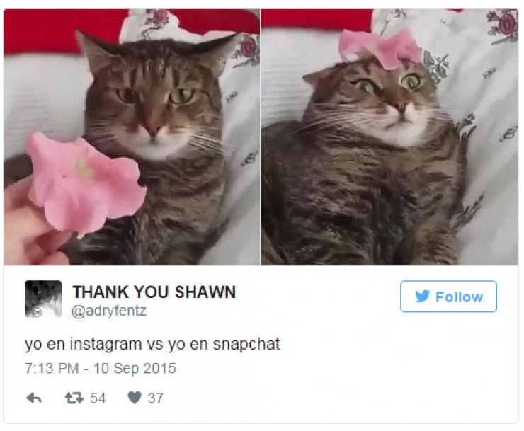 Illustration de l'article : Ces diff&eacute;rences entre les photos post&eacute;es sur Instagram et sur Snapchat! (16 images)