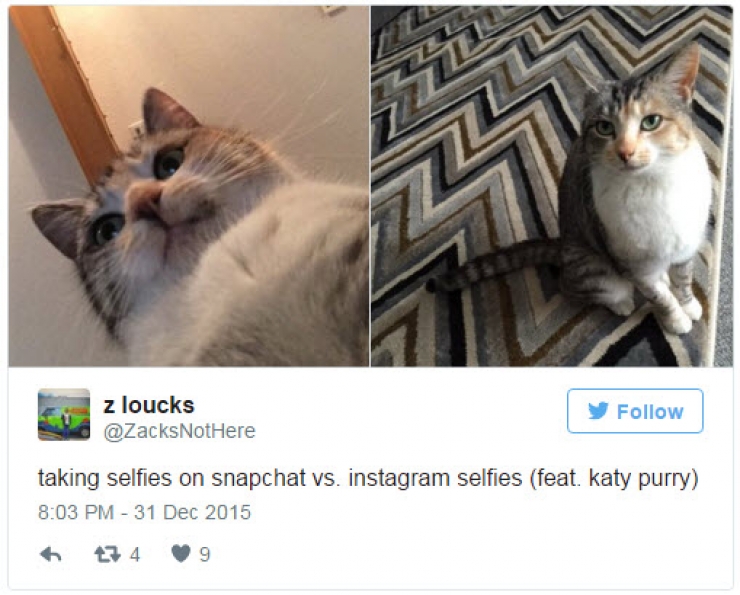 Illustration de l'article : Ces diff&eacute;rences entre les photos post&eacute;es sur Instagram et sur Snapchat! (16 images)