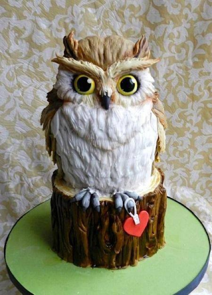 Illustration de l'article : 15 gâteaux incroyables inspirés par des hiboux… Plutôt « chouette » non ?