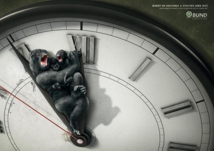 Illustration de l'article : Attention, ces 30 campagnes risquent fortement de vous dégouter de la race humaine...