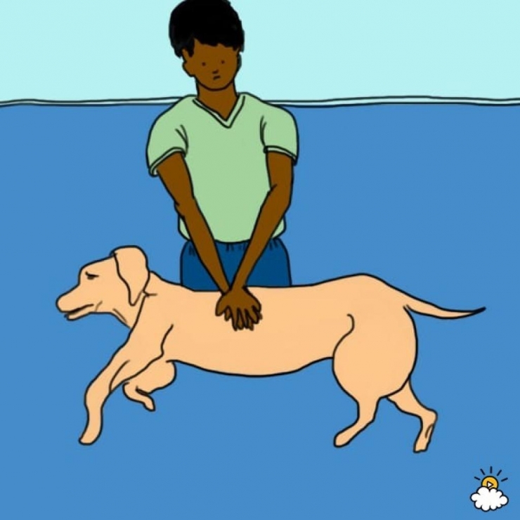 Illustration de l'article : Il tient la bouche de son chien et souffle dedans. On devrait montrer ça à tous ceux qui en possèdent un !