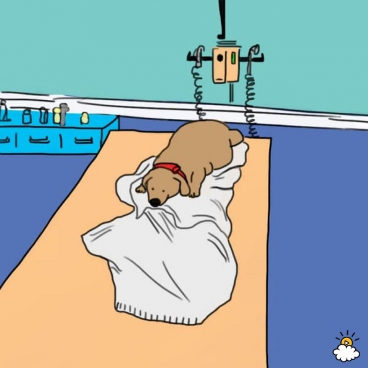 Illustration de l'article : Il tient la bouche de son chien et souffle dedans. On devrait montrer ça à tous ceux qui en possèdent un !