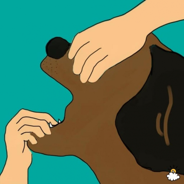 Illustration de l'article : Il tient la bouche de son chien et souffle dedans. On devrait montrer ça à tous ceux qui en possèdent un !
