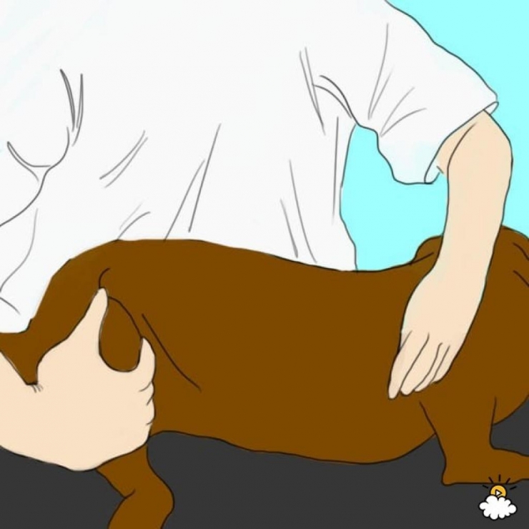 Illustration de l'article : Il tient la bouche de son chien et souffle dedans. On devrait montrer ça à tous ceux qui en possèdent un !