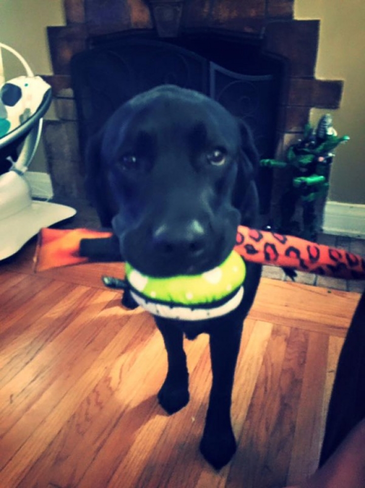 Illustration de l'article : Elle est r&eacute;veill&eacute;e par son chien en pleine nuit. Elle se rend dans la chambre de son fils et c&rsquo;est le choc !