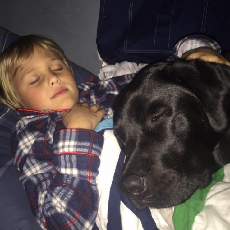 Illustration de l'article : Elle est r&eacute;veill&eacute;e par son chien en pleine nuit. Elle se rend dans la chambre de son fils et c&rsquo;est le choc !