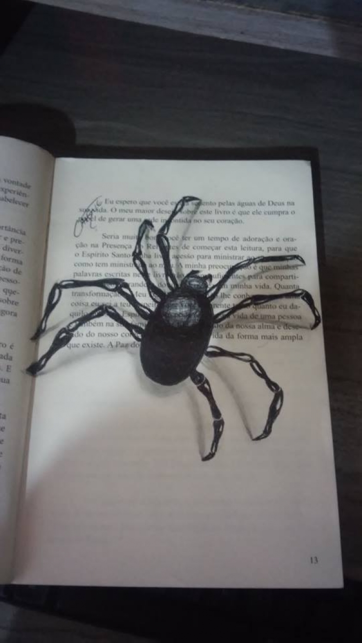 Illustration de l'article : Cet artiste n&rsquo;a que 16 ans pourtant il ma&icirc;trise les dessins 3D avec une aisance bluffante...