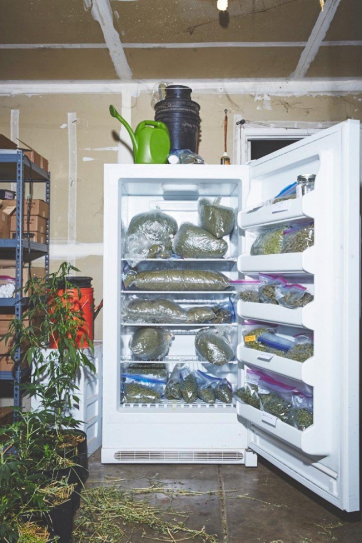 Illustration de l'article : Ces bonnes soeurs cultivent du cannabis pour une très belle cause !