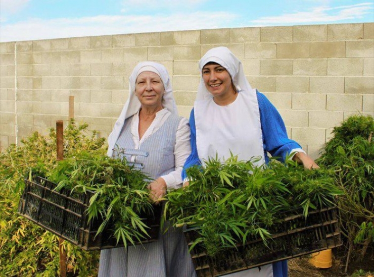 Illustration de l'article : Ces bonnes soeurs cultivent du cannabis pour une très belle cause !