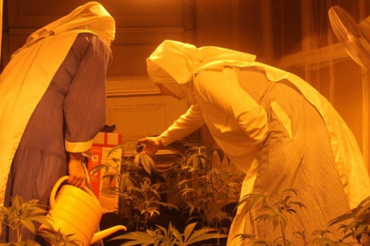 Illustration de l'article : Ces bonnes soeurs cultivent du cannabis pour une très belle cause !