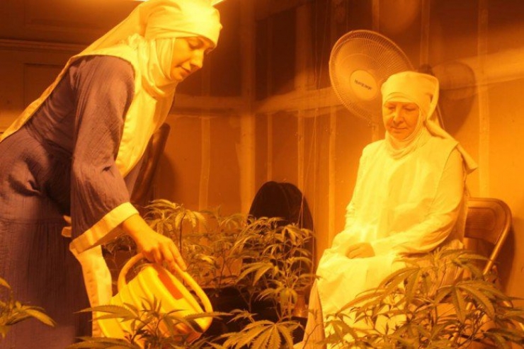 Illustration de l'article : Ces bonnes soeurs cultivent du cannabis pour une très belle cause !