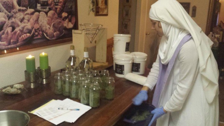 Illustration de l'article : Ces bonnes soeurs cultivent du cannabis pour une très belle cause !