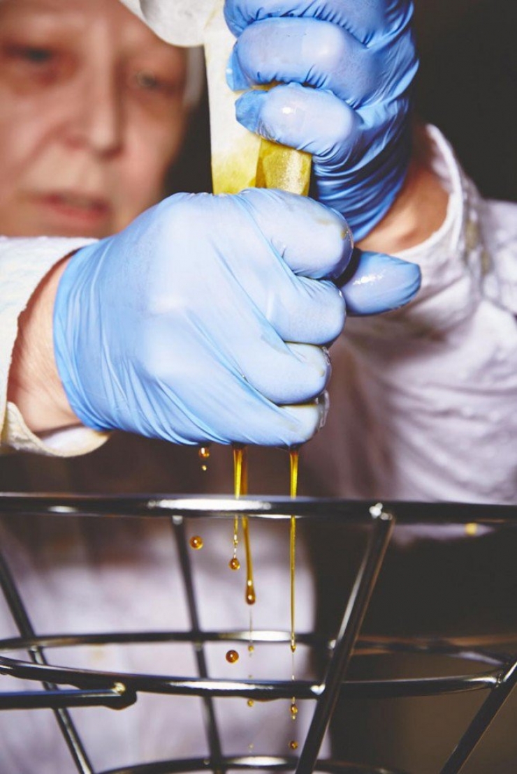 Illustration de l'article : Ces bonnes soeurs cultivent du cannabis pour une très belle cause !