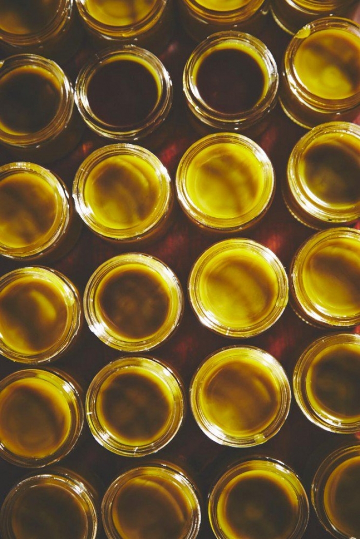 Illustration de l'article : Ces bonnes soeurs cultivent du cannabis pour une très belle cause !