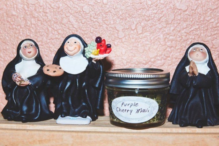 Illustration de l'article : Ces bonnes soeurs cultivent du cannabis pour une très belle cause !