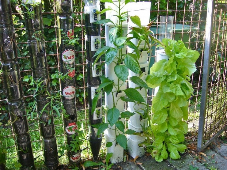 Illustration de l'article : Superposez des bouteilles afin de former une tour, puis versez de l'eau depuis le sommet. D'ici quelques semaines vous pourrez faire de d&eacute;licieux plats !