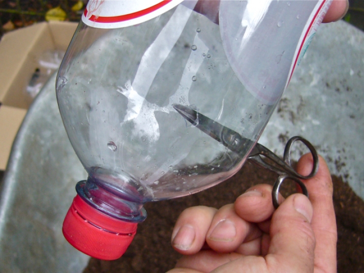 Illustration de l'article : Superposez des bouteilles afin de former une tour, puis versez de l'eau depuis le sommet. D'ici quelques semaines vous pourrez faire de d&eacute;licieux plats !