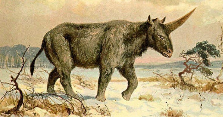 Illustration de l'article : On aurait la preuve que les licornes ont vécu sur Terre avec ce crâne fossilisé retrouvé au Kazakhstan !